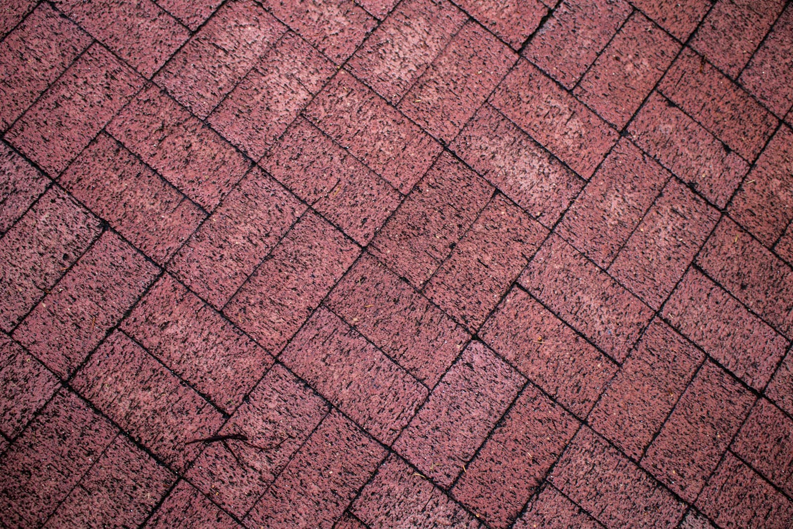 Brick patio with herringbone pattern