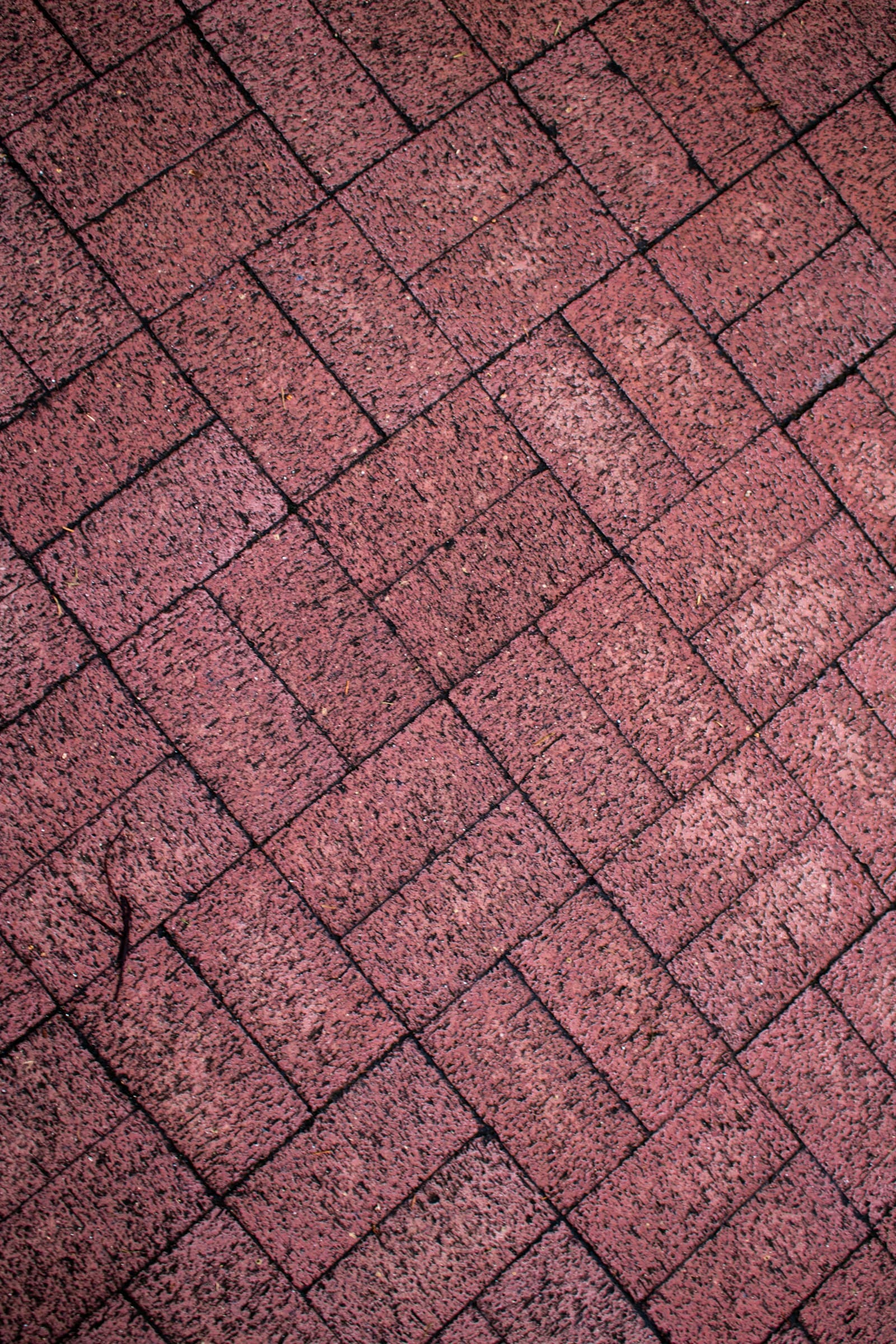 Paver brick pattern close-up texture