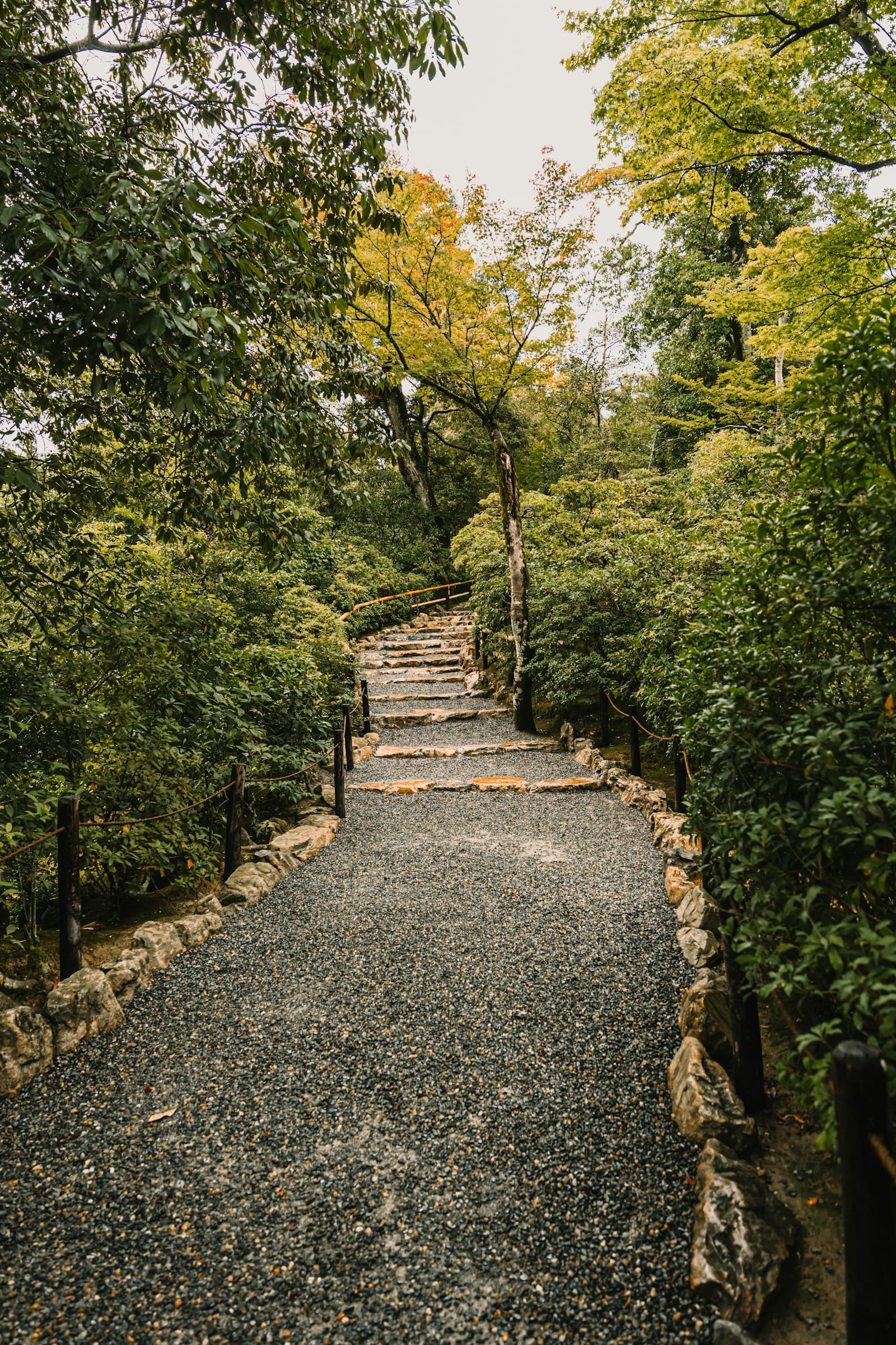 Stone steps ascending through a lush landscape
